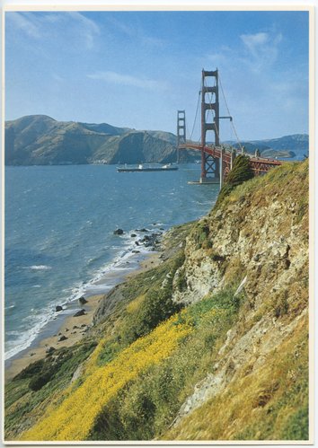 Golden Gate Bridge with Wildflowers