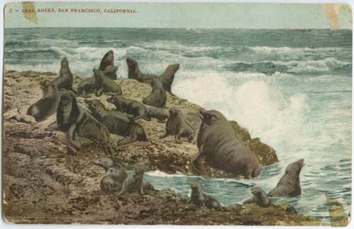 Seal Rocks, San Francisco, California