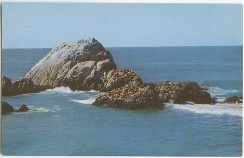 Seal Rocks.